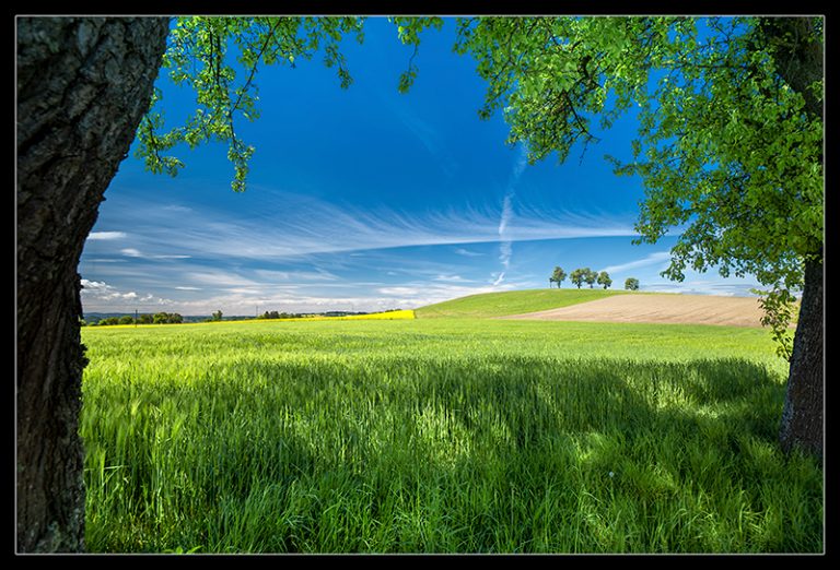 Mehr über den Artikel erfahren Farben, Sonne, Sommer