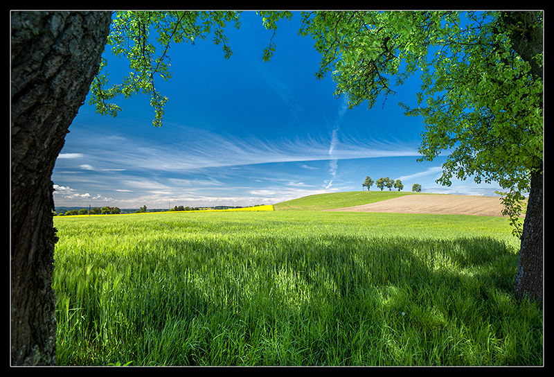 Du betrachtest gerade Farben, Sonne, Sommer