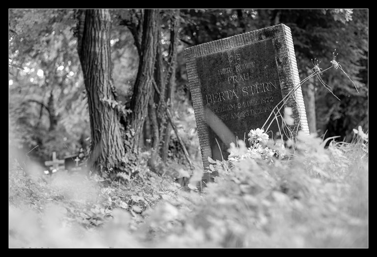 Mehr über den Artikel erfahren Jüdischer Friedhof in Oberwart – Nikkor 50mm 1.8