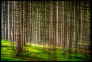 ICM Wald