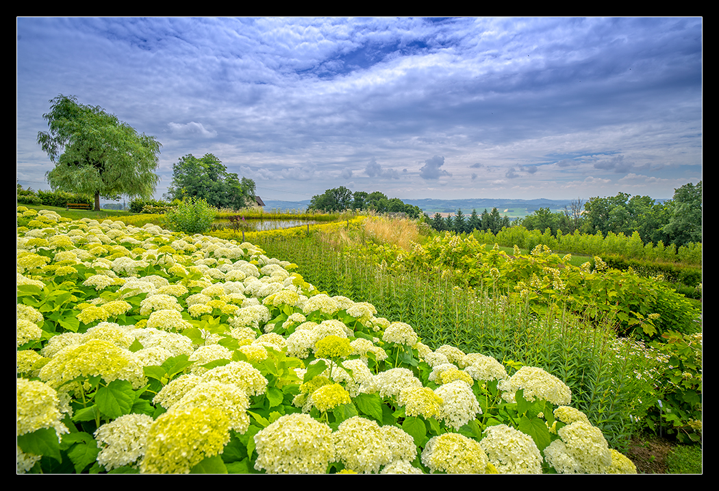 Mehr über den Artikel erfahren Garten der Geheimnisse