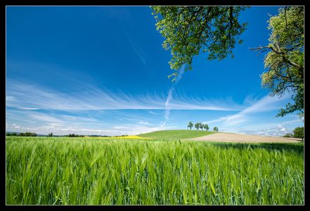 Sommer, Sonne, Farben