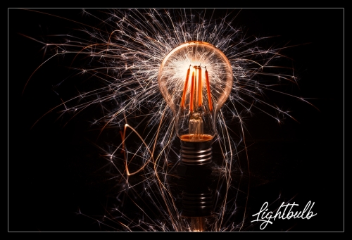 Lightbulb IV