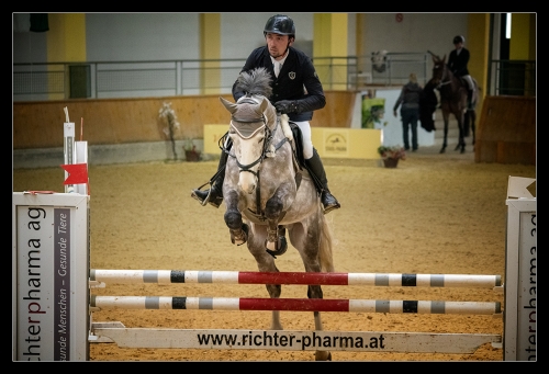 Springreiten I