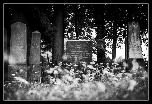 Jüdischer Friedhof Oberwart I