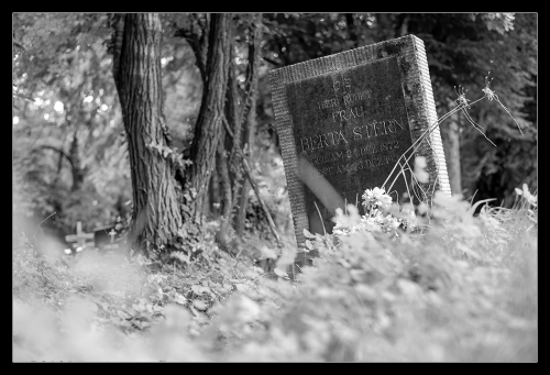 Jüdischer Friedhof Oberwart II