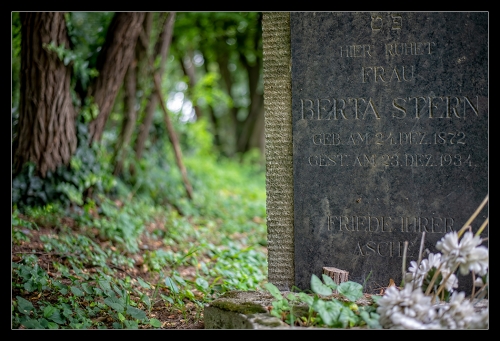 Jüdischer Friedhof Oberwart IV