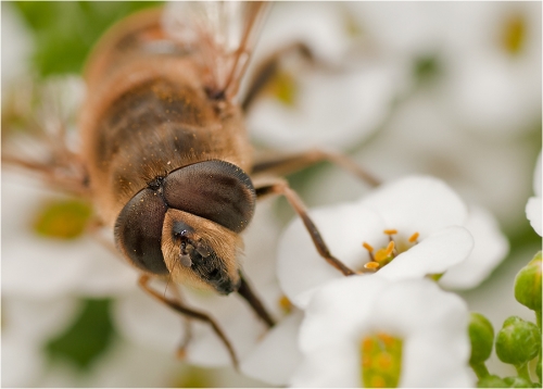 Sommer war....