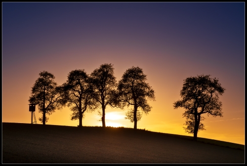 Abends im Oktober II