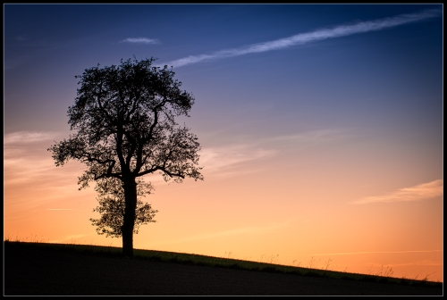 Abends im Oktober IV