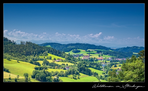 Waldhausen V