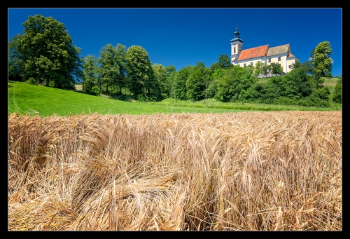 Waldhausen IX