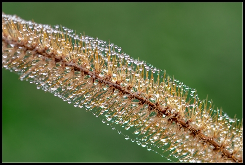 Herbsttag Oktober 2022 I