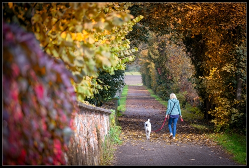 Herbsttag Oktober 2022 IV