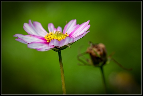 Herbsttag Oktober 2022 II