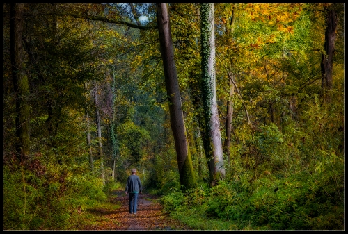 Herbsttag Oktober 2022 VI