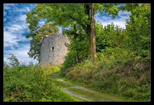 Burgruine Waxenberg IV